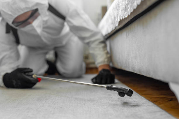 Professional Cockroach Control technician working in Powderly, TX