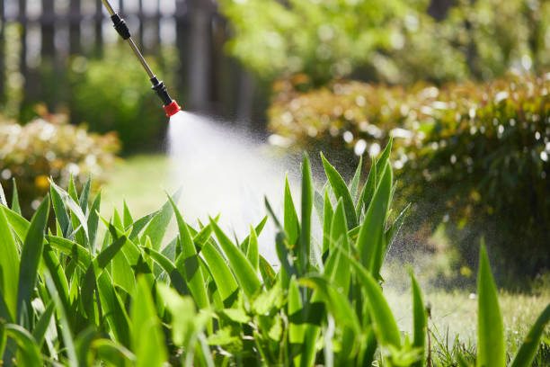 24/7 Emergency Cockroach Control experts in Powderly, TX