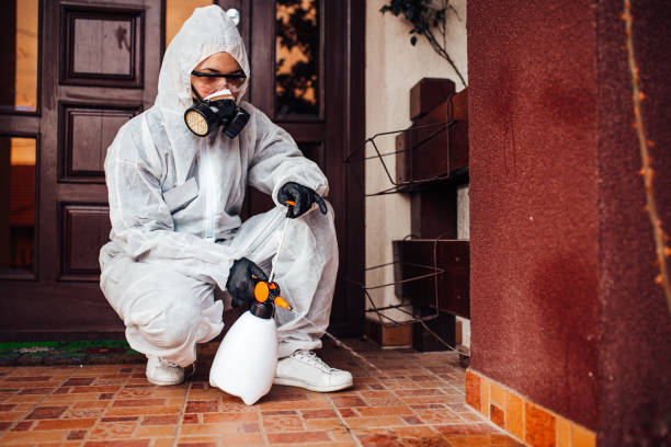 Reliable Cockroach Control contractor in Powderly, TX by Nex Pest Control
