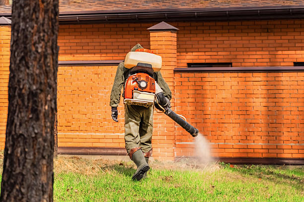 Top rated local Cockroach Control specialists in Powderly, TX